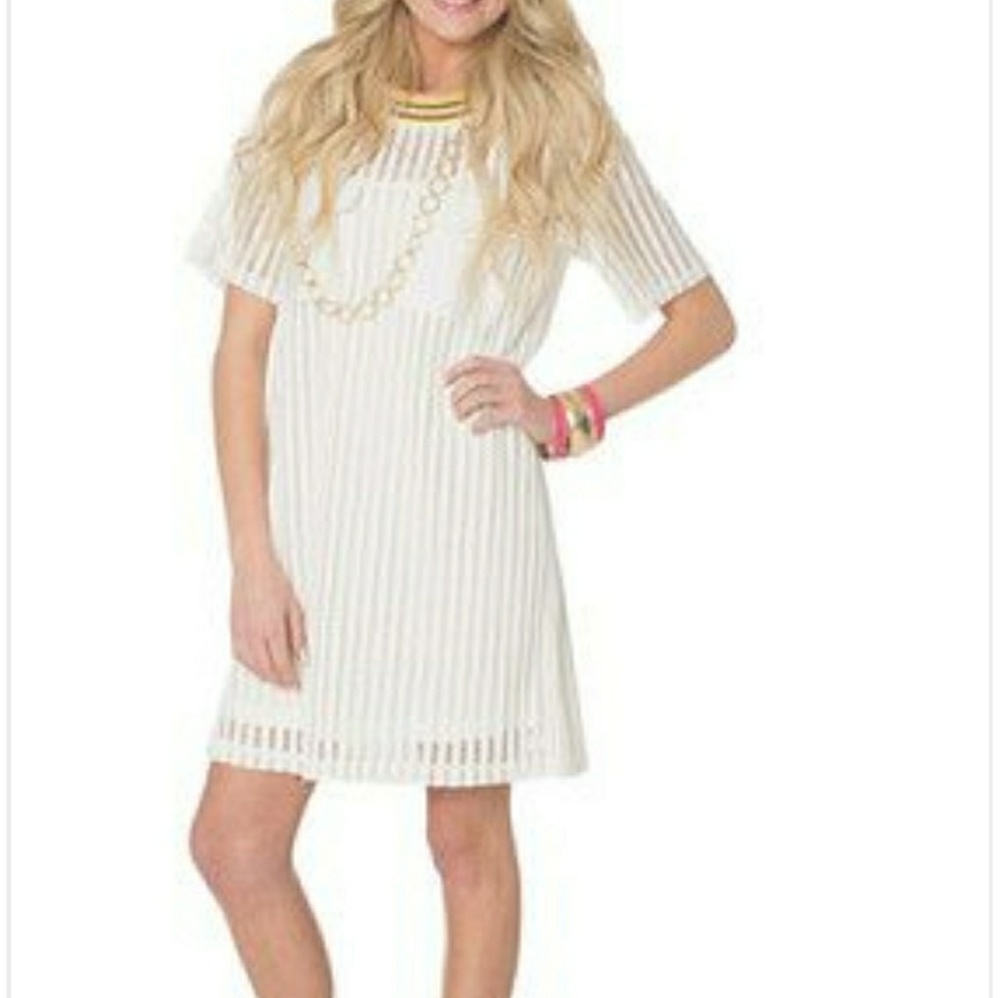 Designer White Mesh t-shirt Dress( New with tags)